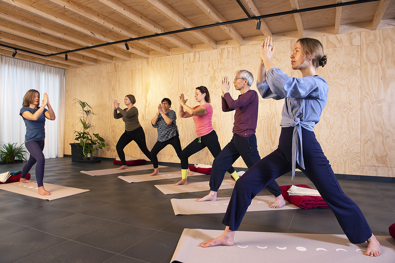 Hatha Yoga Maarssen